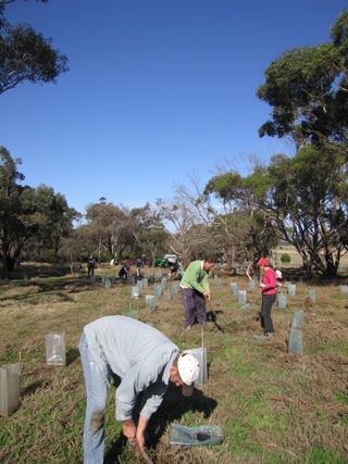 Planting in the Sanctuary