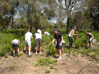 Boneseed removal - St Joseph‘s College students assisting