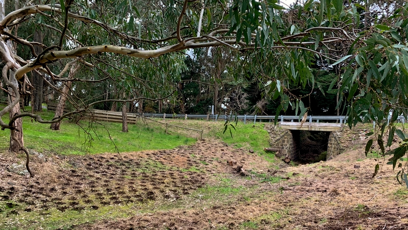 Red Gum Reserve - holes dug ready for planting
