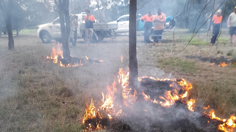 Cool burning in Red Gum Reserve